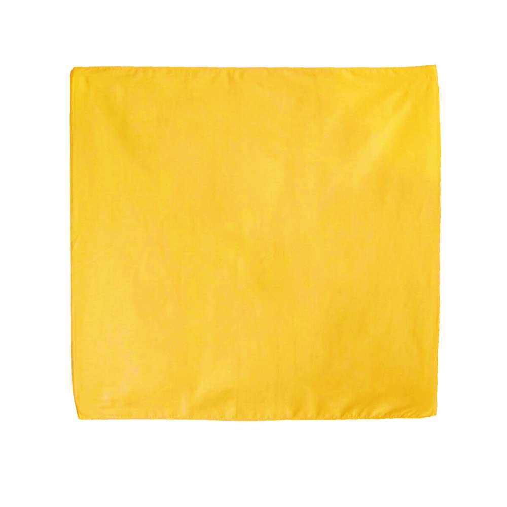 Pet Bandana (Square) - Wholesale Blanks